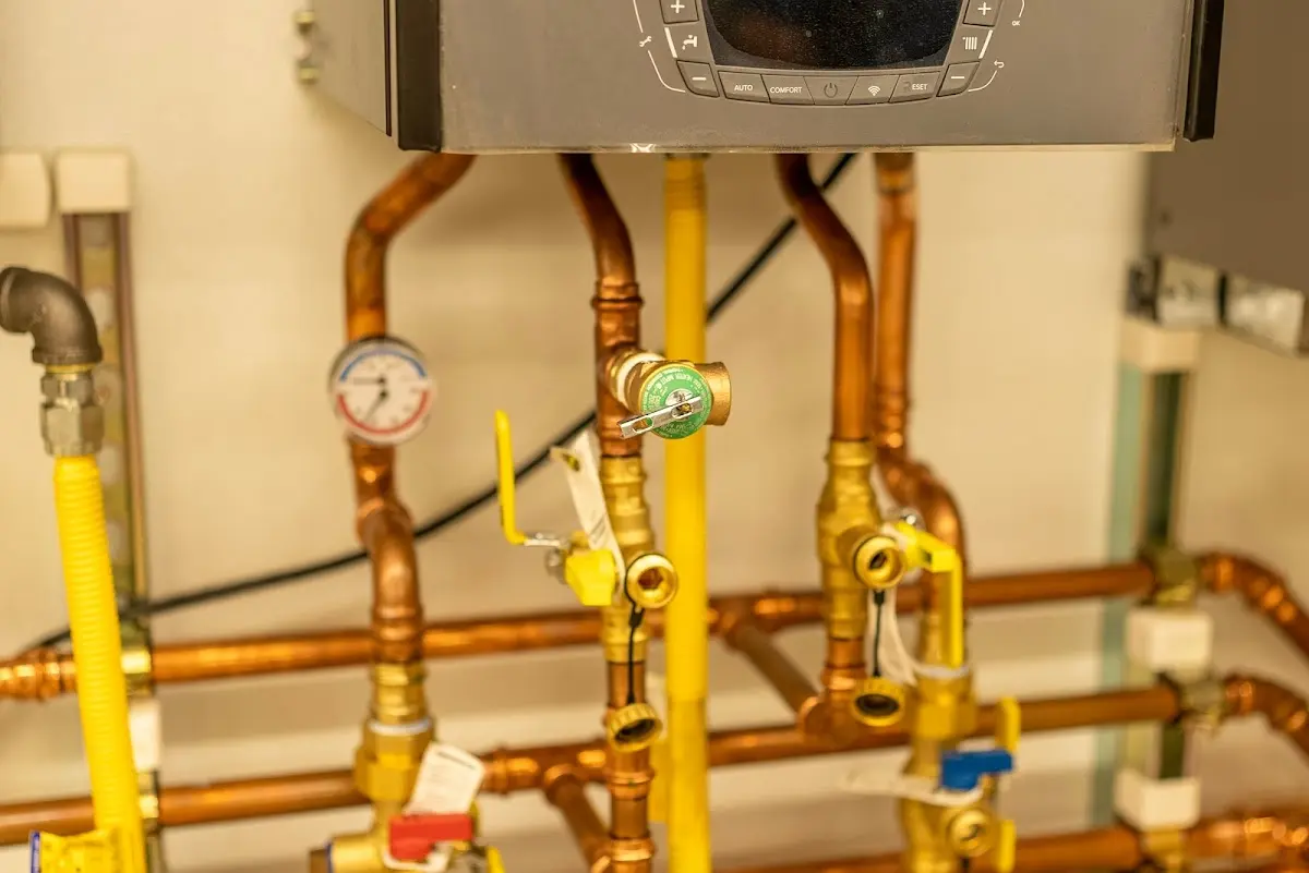 Licensed technician providing Emergency Plumbing for a homeowner in Wind Lake